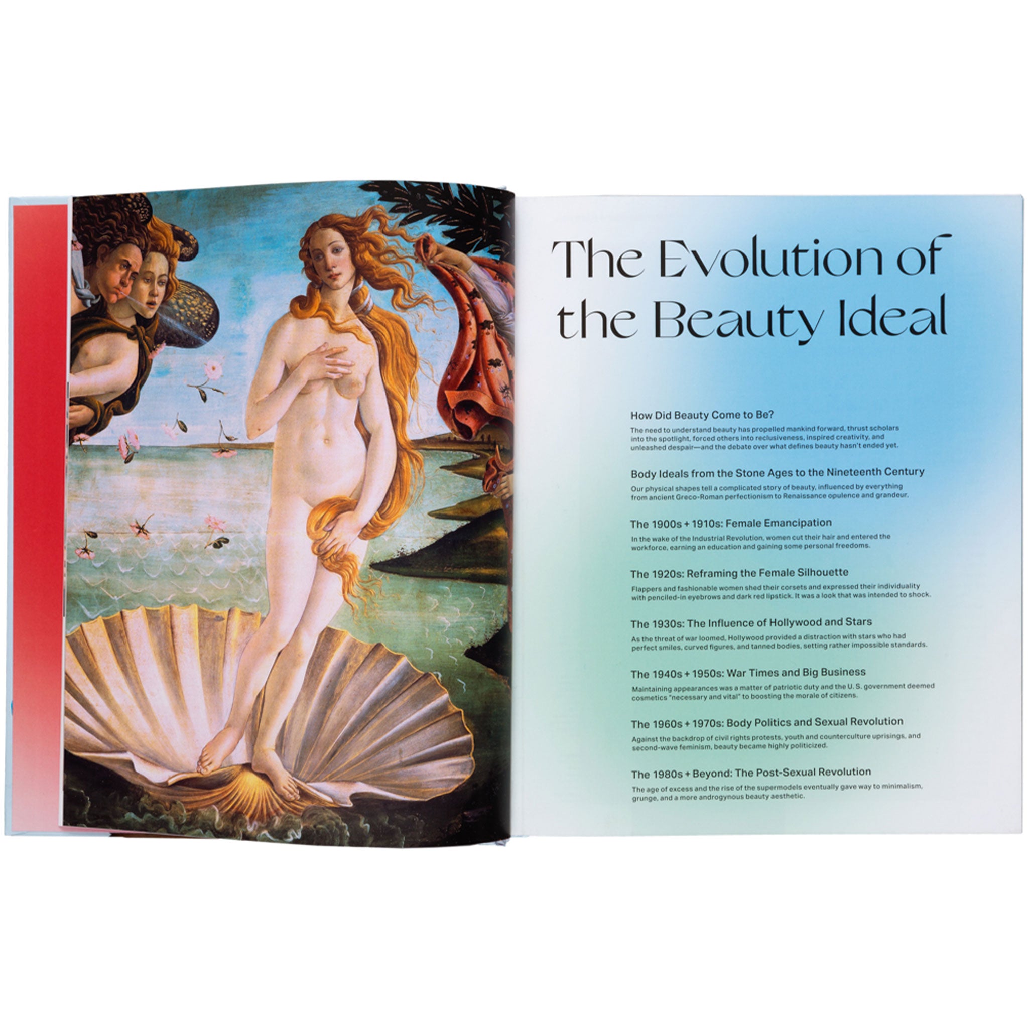 The New Beauty: A Modern Look at Beauty, Culture, and Fashion