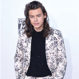 HARRY STYLES: Ikonische Outfits